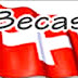 Suiza: Becas de Postgrado 2011-2012