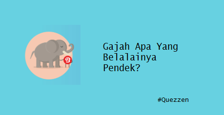 Gajah Apa Yang Belalainya Pendek?