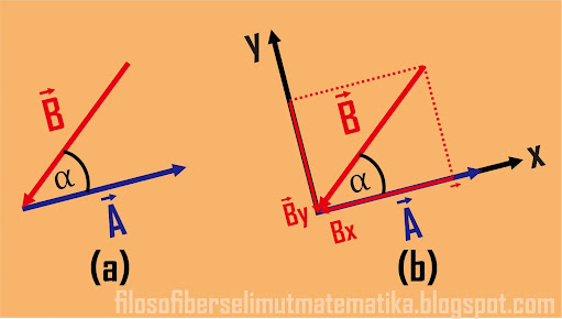 Materi fisika kelas 10 : vektor (Lengkap dengan contoh soal)