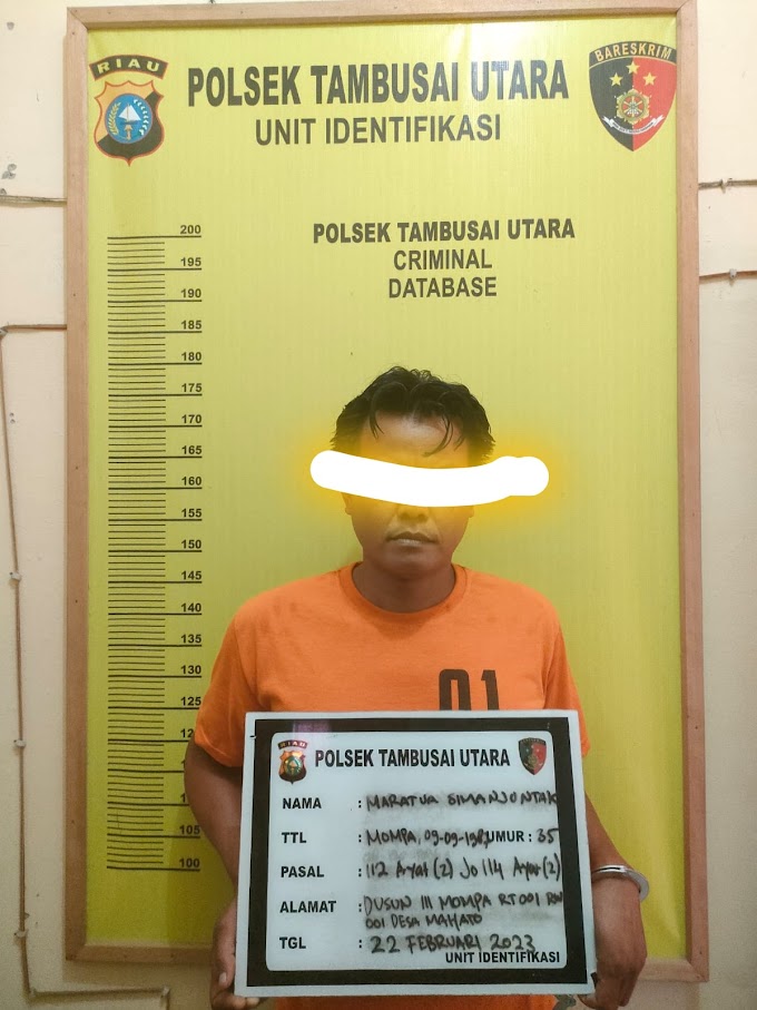 Polsek Tambusai Utara Gerebek dan Amankan Seorang Pelaku Terduga Transaksi Narkotika Jenis Sabu