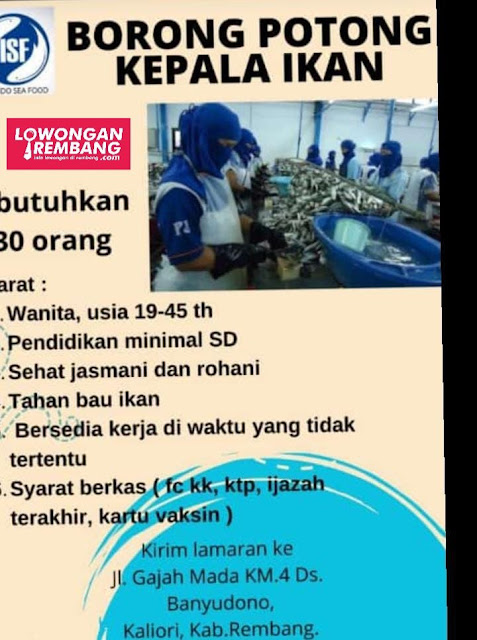 Lowongan Kerja Pegawai Borong Potong Kepala Ikan Pabrik PT Indo Sea Food Rembang