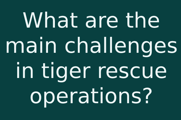 What are the main challenges in tiger rescue operations?