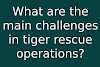 What are the main challenges in tiger rescue operations?