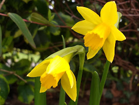 Spring plans in the countryside