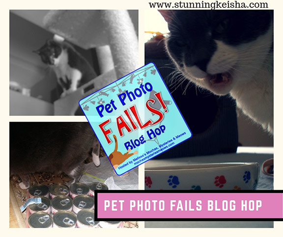 March Pet Photo Fails & Bloopers