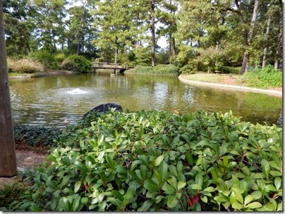 Japanese Garden