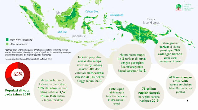 Data keadaan hutan saat ini.