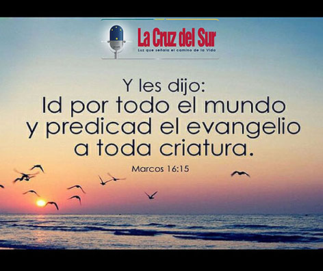 http://www.cruzdelsurbolivia.com/