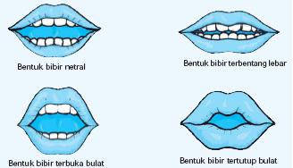 Belajar Bahasa: BUNYI VOKAL DAN KONSONAN