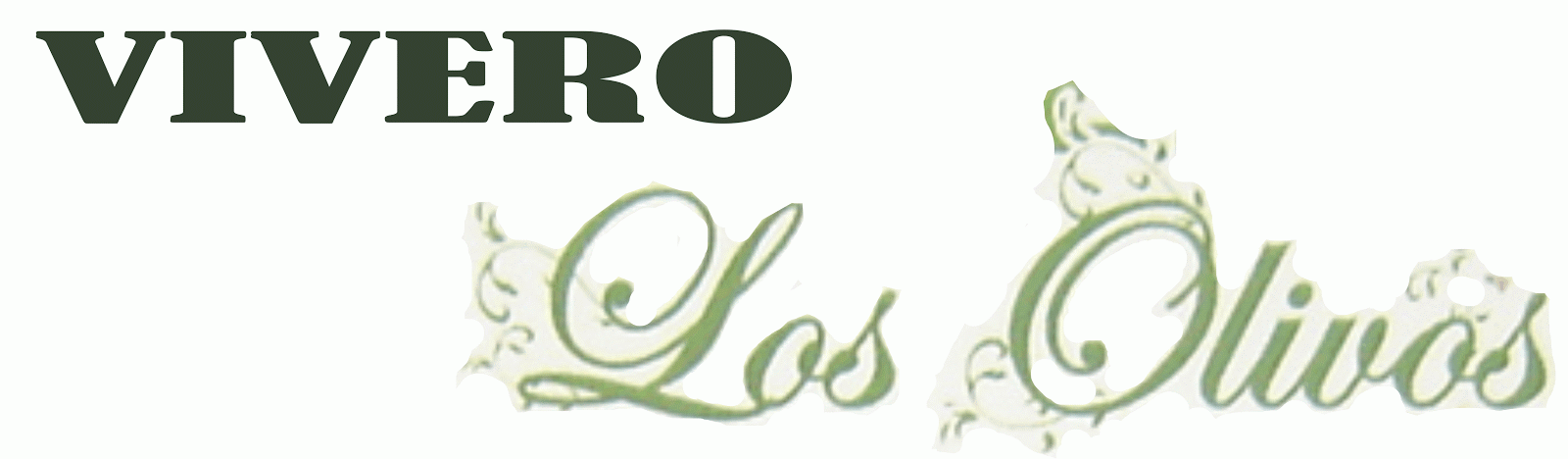 VIVERO LOS OLIVOS AUTLAN