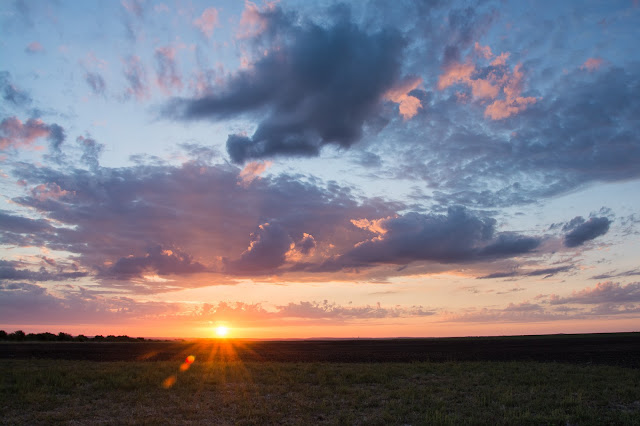 Sunrise, Winscott Plover Road