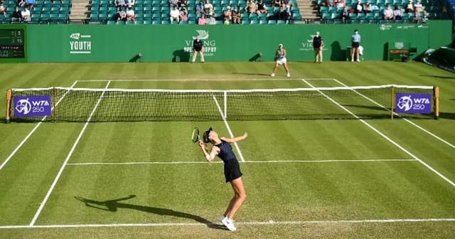 Guia ATP e WTA: Quem joga e como assistir os torneios de grama