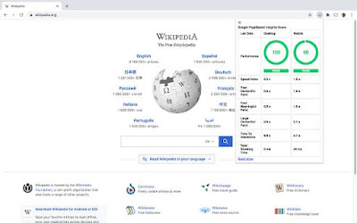 PageSpeed Insights