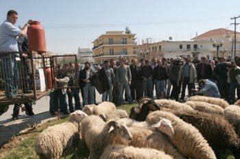 Την Πέμπτη Συγκέντρωση Διαμαρτυρίας των Κτηνοτροφικών Συλλόγων της Περιφέρειας
