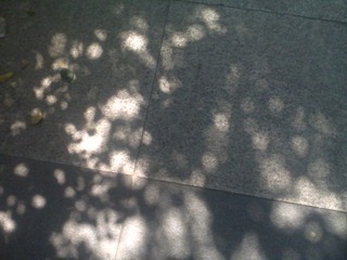 pic00470