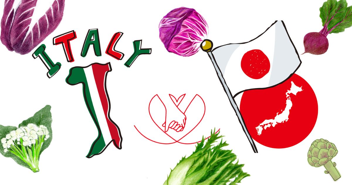 日本でのイタリア野菜の普及