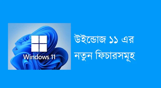 windows 11 update