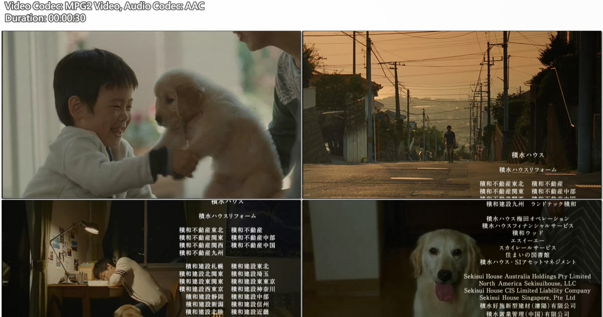Tvcm Cut Sekisui House 積水ハウス 少年と犬篇 13 12 30s