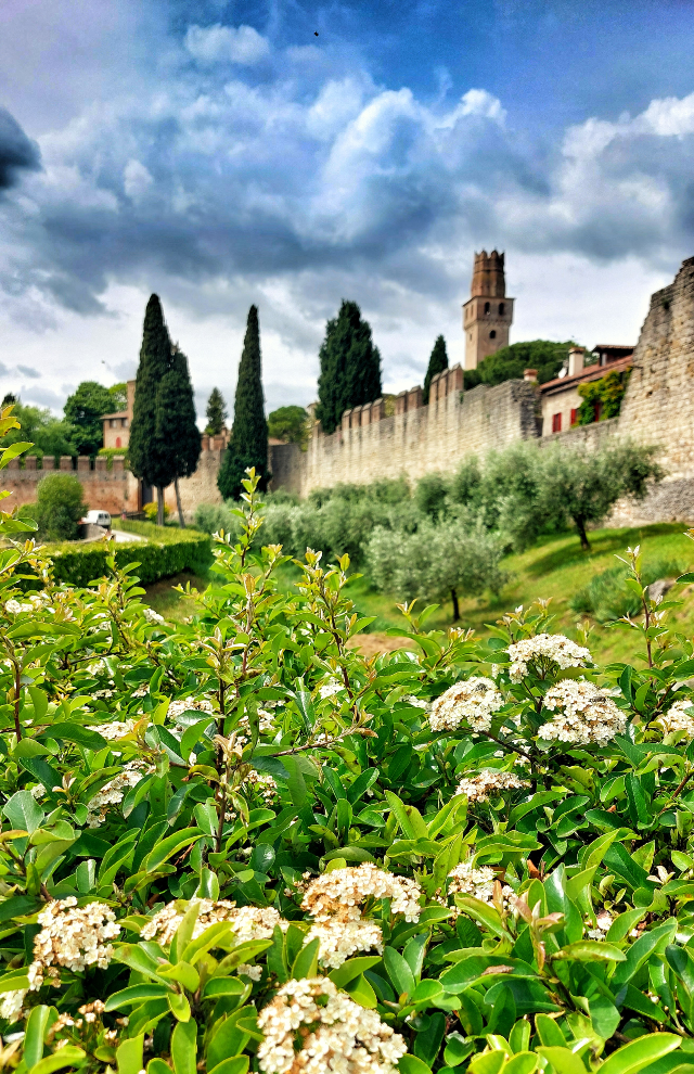 Passeggiata tra i castelli di Susegana e Collalto