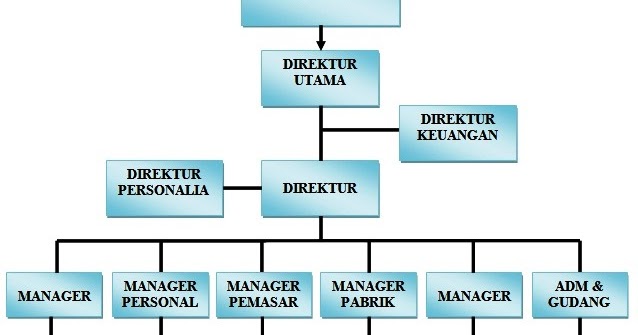 Struktur Organisasi Perusahaan Secara Umum dan Deskripsi 