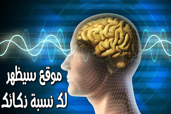 موقع عربي رائع لكي تتعرف على نسبة ذكائك سارع لتجربته ومعرفة النتيجة 