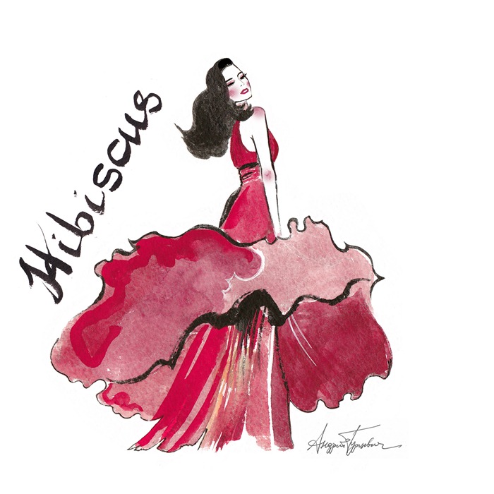 Hibiscus, dress idea drawing