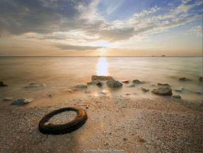 Fotografías de objetos varados en la playa (Washed Up)