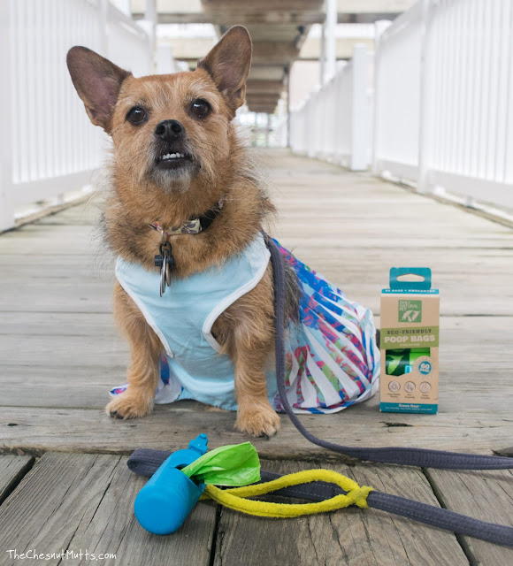Mini Review: Only Natural Pet Eco-Friendly Poop Bags and Dispenser