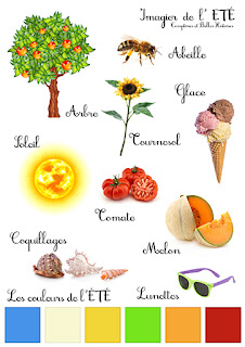 Imagier de la saison de l'été, sur le thème de la nature, le soleil, les glaces, les fruits, les insectes, le potager, guêpe, mer, bronzer, vacances, rentrée école, - summer season