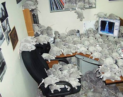 Creative April Fools Office Pranks Seen On www.coolpicturegallery.us