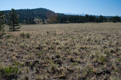 Florissant National Monument