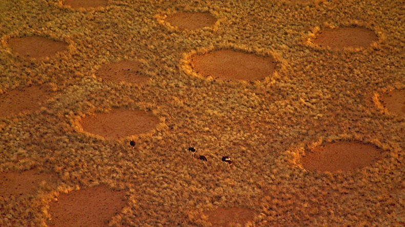 fairy-circles-13