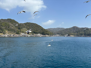 海鷗跟著船飛行，背景是舟屋