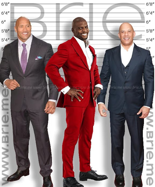 Terry Crews height comparison with The Rock and Vin Diesel
