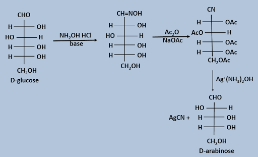 Decreasing the length of the aldose chain