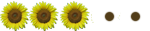 Girasol (3)