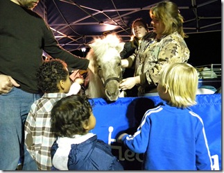 around home, osceola fair 084