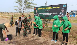 Prajurit Kodim 0709/Kebumen Tanam Jagung di Lahan Kosong TNI AD.