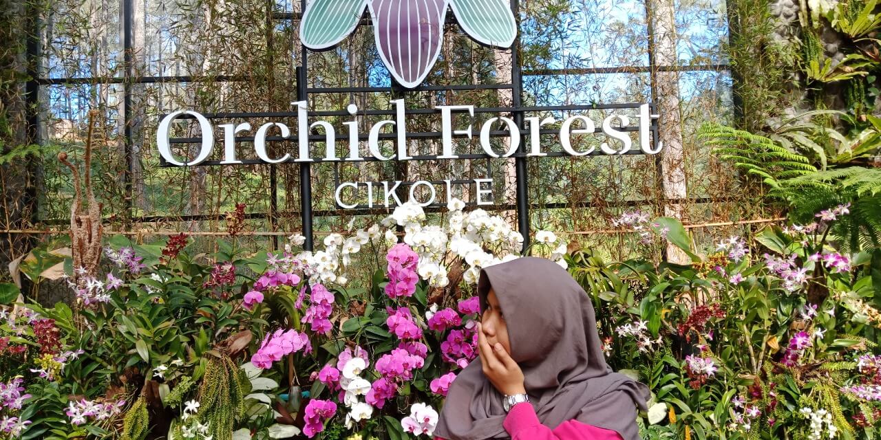orchid-forest-cikole-bandung
