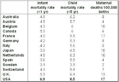 Child Health Care on Notes  Infant And Child Mortality Rates From Oecd For 2003  Maternal