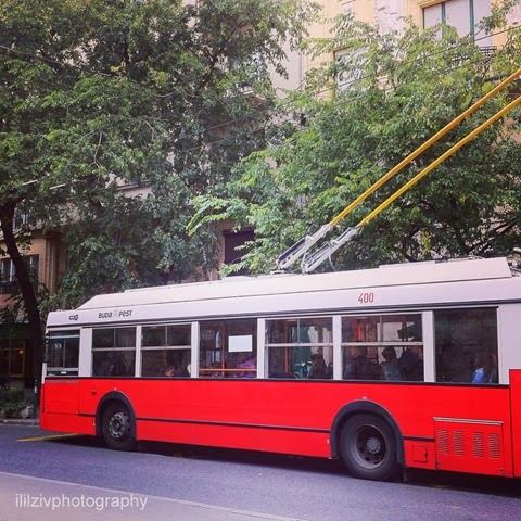 תמונה 4