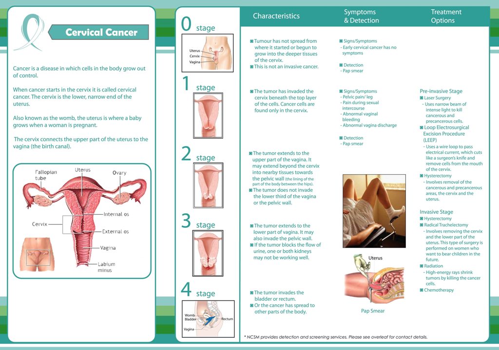 National Cancer Society Of Malaysia Penang Branch Cervical Cancer