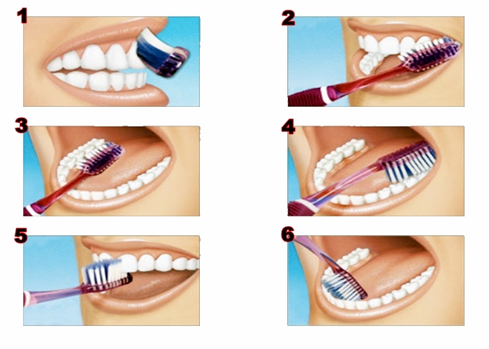 Gambar Cara  Menyikat Gigi  Yang  Benar  AR Production