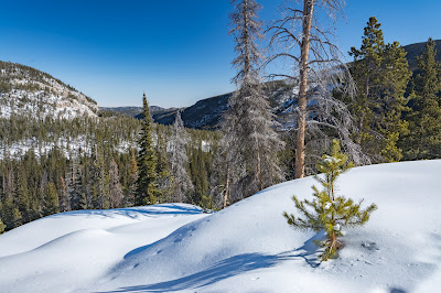 Ouzel Falls Trail