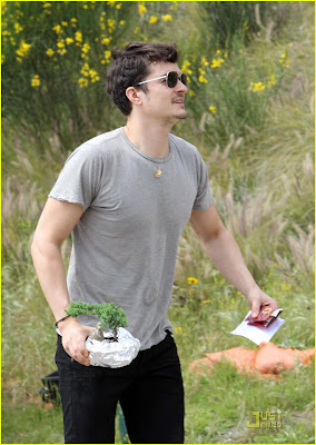 Bonsai Tree Buy! :Orlando Bloom