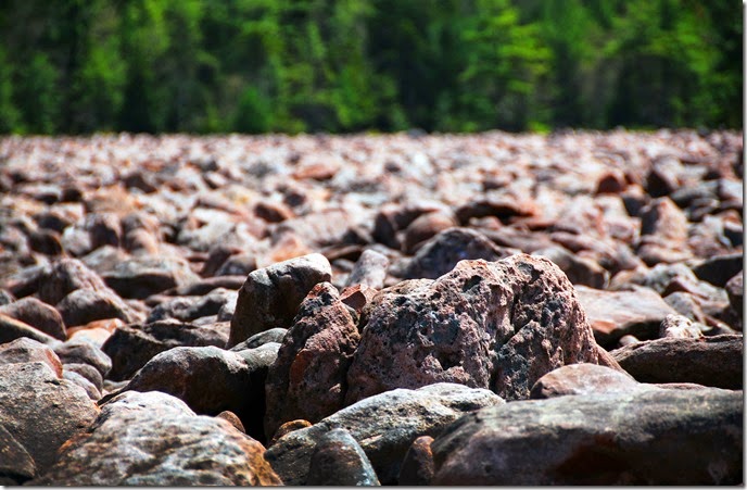 Hickory Run Boulder Field 3