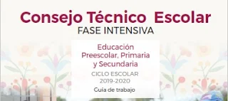 Consejo Técnico Escolar Fase intensiva Educación preescolar, primaria y secundaria.