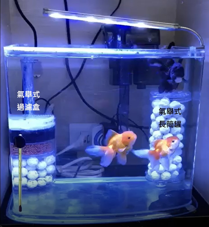 金魚快訊部落格goldfish Message Blog 新手設缸起步走 Novice Set Goldfish Tank Sop