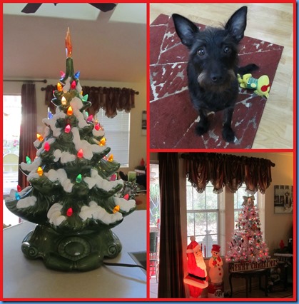 PicMonkey Collage 1