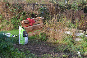 Norwich Allotment